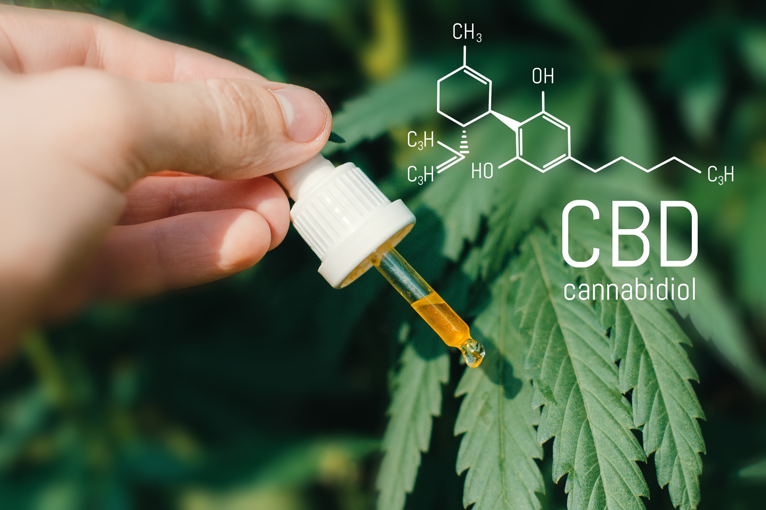 Pipette d'huile de CBD devant des feuilles de chanvre