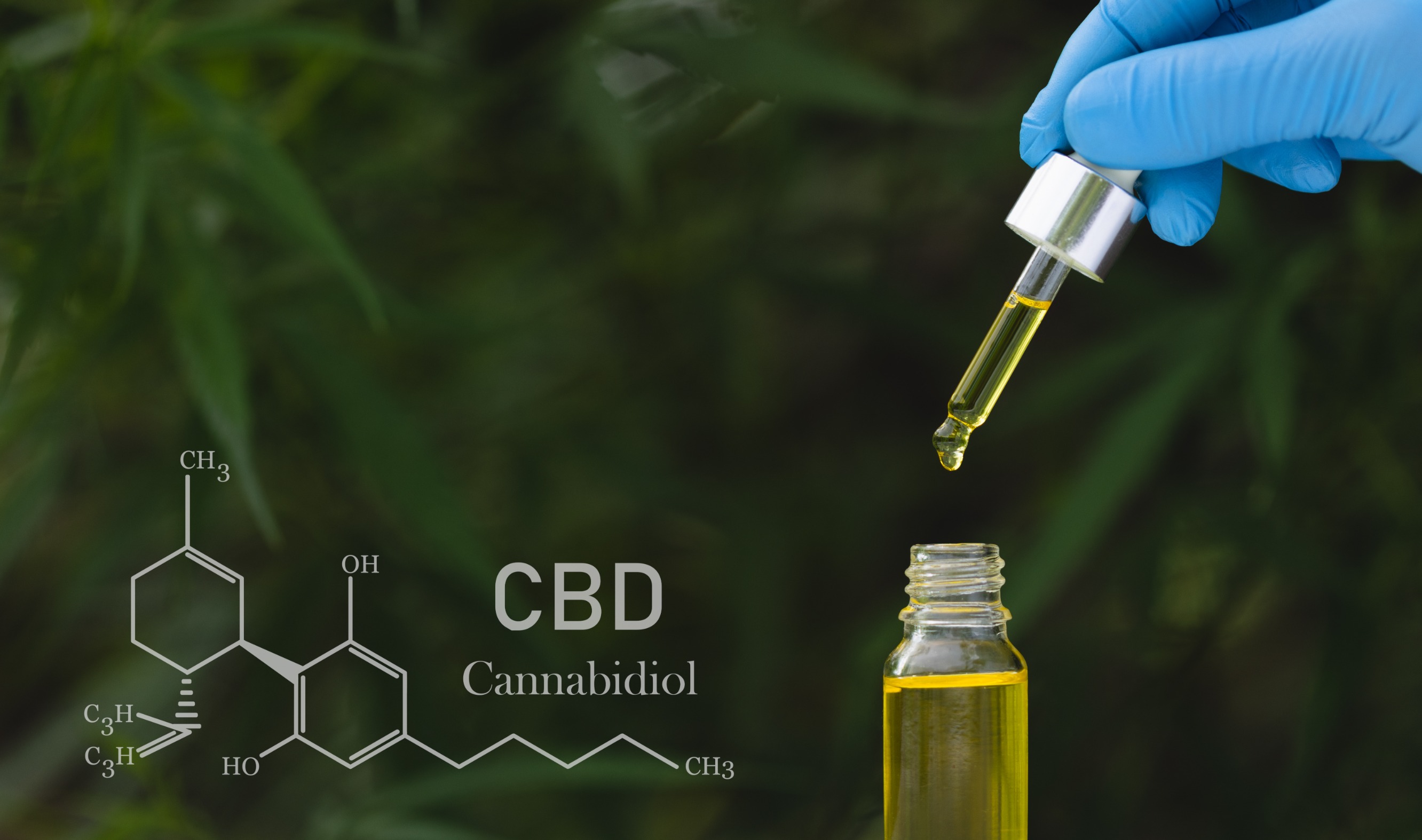 Analyse d'une huile de CBD à l'aide d'une pipette