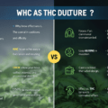 une comparaison des différences entre la marijuana et le hhc