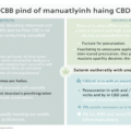 Huile CBD effets secondaires : Mythes vs réalité scientifique