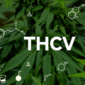 THCV cannabinoïde : Propriétés et effets de cette molécule