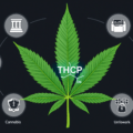 THCP guide complet : Effets, légalité et sécurité 2025